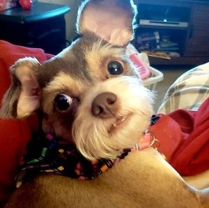 Meet your Posher, Juanita